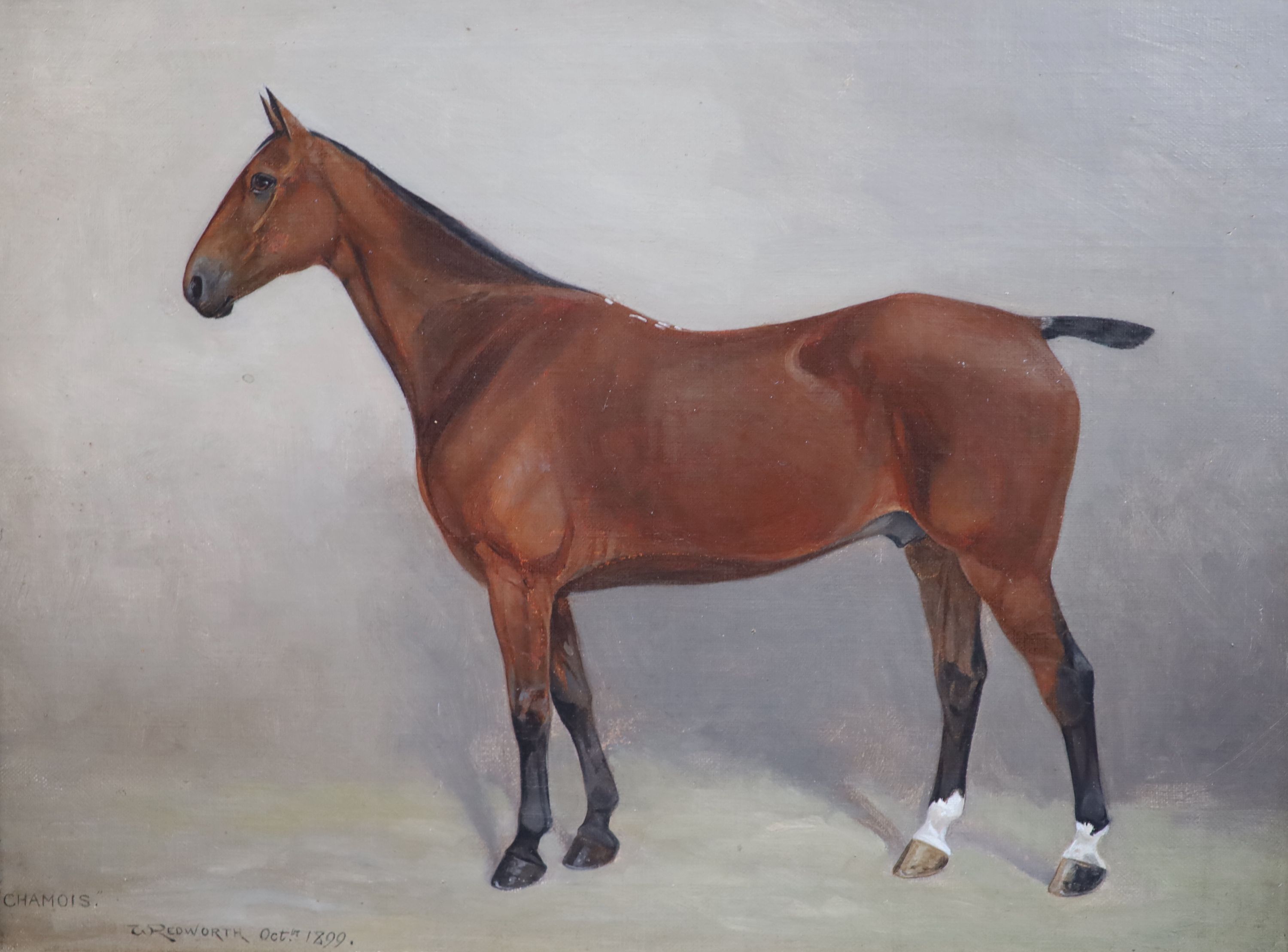 William Joseph Redworth (1873-1941), Portraits of Racehorses: Archdeacon, Chanois, Lord Dalmahoy and Niger, set of 4 oils on canvas, 30 x 39.5cm